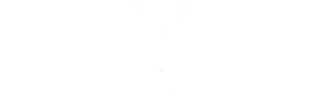 DORCAS BIZSU DORCAS BIZSU